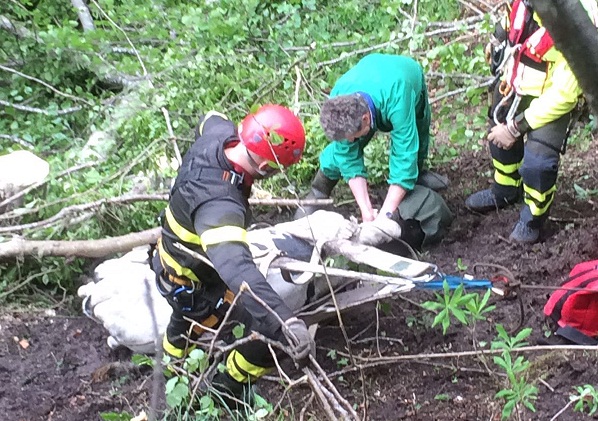 WhatsApp-Image-420160615