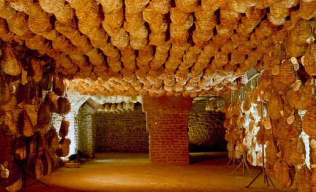 FUORIPORTA- Tutte le chicche del Ponte!