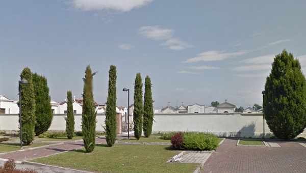 Man using smart phone