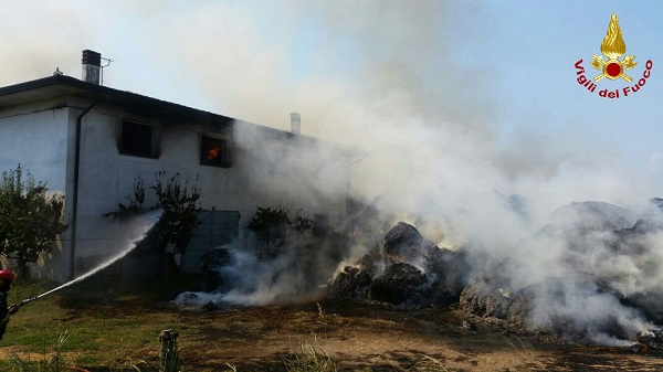 IMG-20160720-WA0013_wm