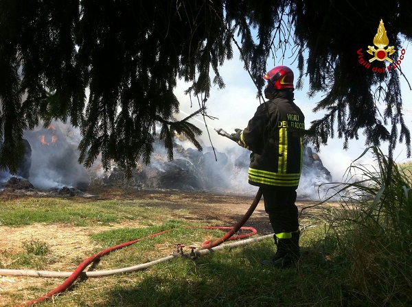 IMG-20160720-WA0015_wm