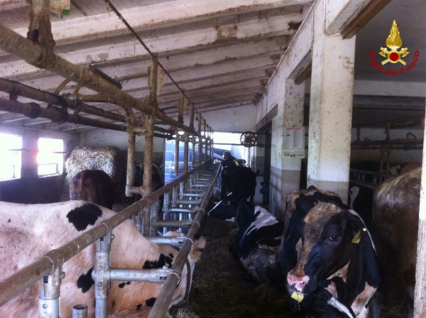 IMG-20160720-WA0019_wm