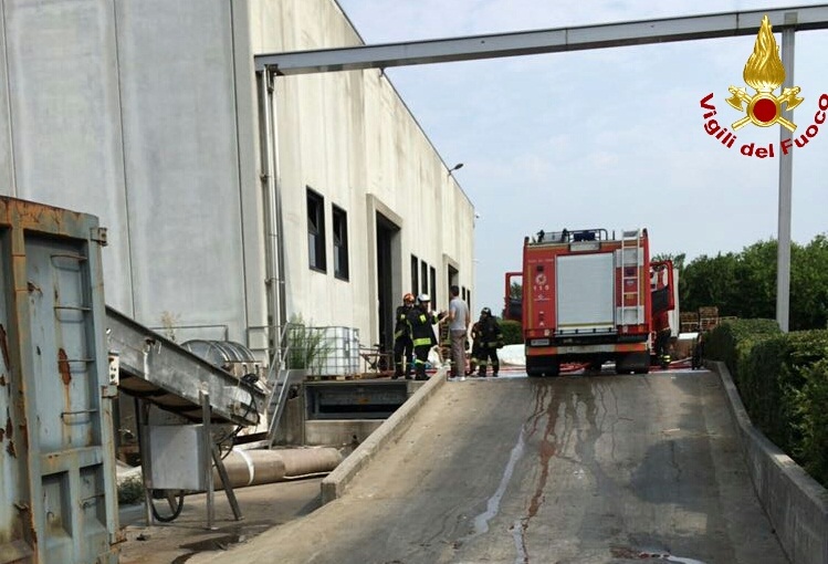 IMG-20160722-WA0010_wm