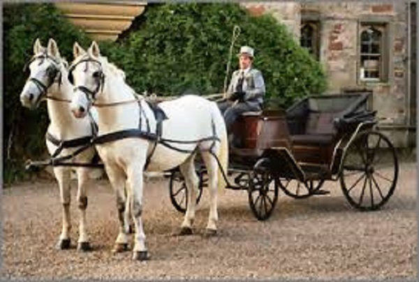 VICENZA – Il centro storico si visita…in carrozza!