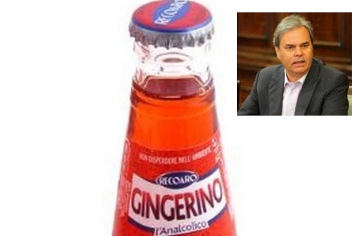 recoaro san pellegrino gingerino variati