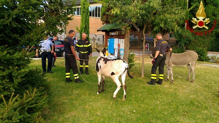 img-20160920-wa0018_wm