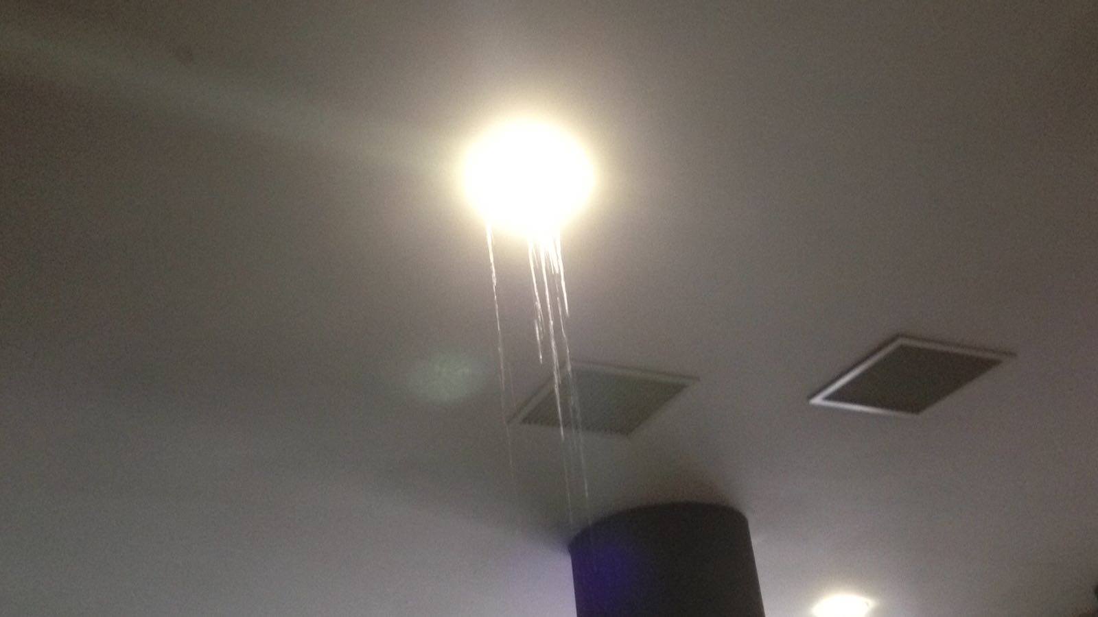 14522228_10153994664896395_1499108898_o