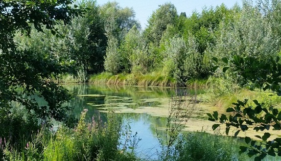 Audi gialla: autista arrestato estradato in Italia