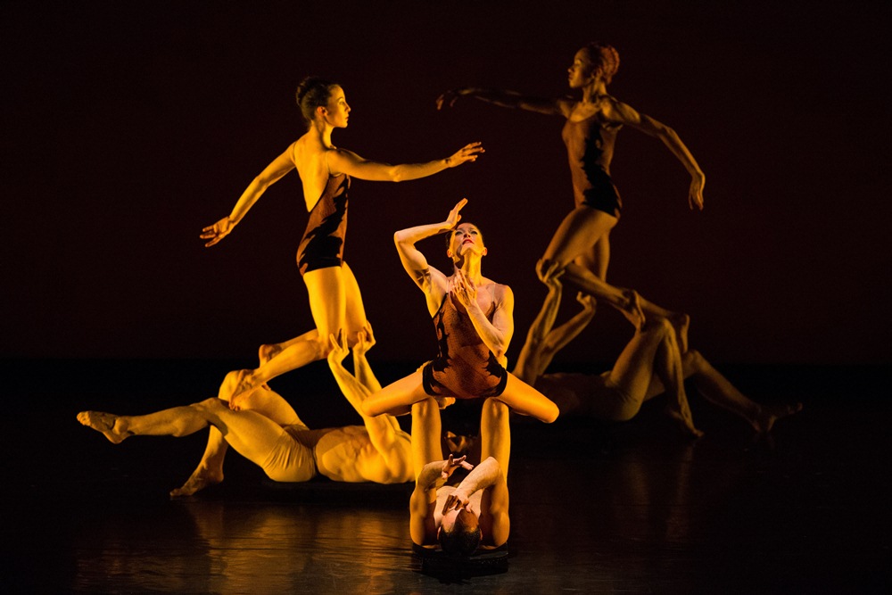 momix_opus-cactus-3-charles-azzopardi