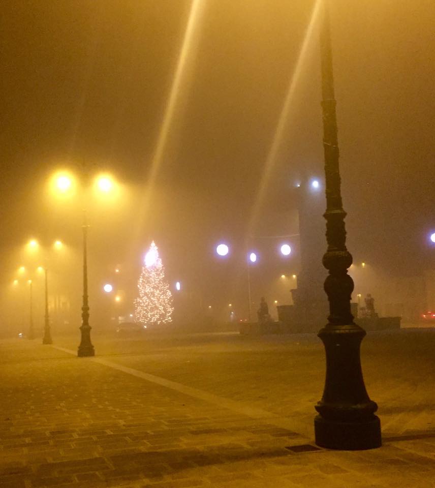 15420888_10211460734102483_4559198552933570632_n