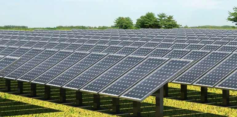 Il Veneto perde 785 ettari: preoccupa lo sviluppo degli impianti  fotovoltaici a terra | TViWeb